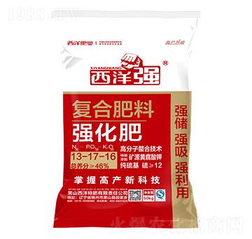 �����ͺϷ���13-17