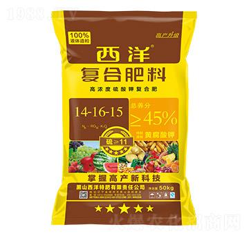 �ߝ������⛏ͺϷ�14