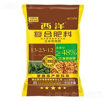 ���׌��ÏͺϷ���13-