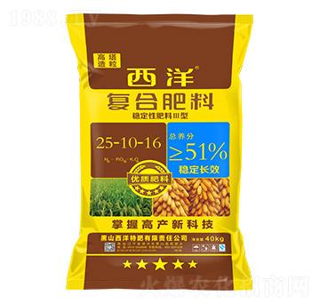 ���������ͺϷ���25-10-16-��(w��n)���Է���III��-����ʘI(y��)