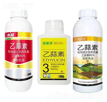 80%������-��x+ʩ�̓�-����r��