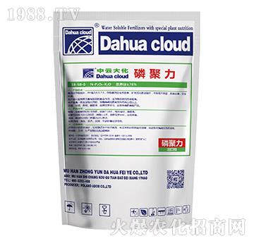 �׾���-���ƴ�