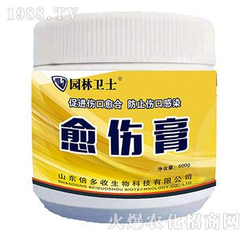 ������-�@���l(w��i)ʿ-������