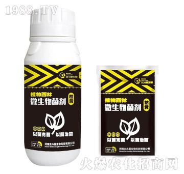 ���S����΢�������-ֲ������-������