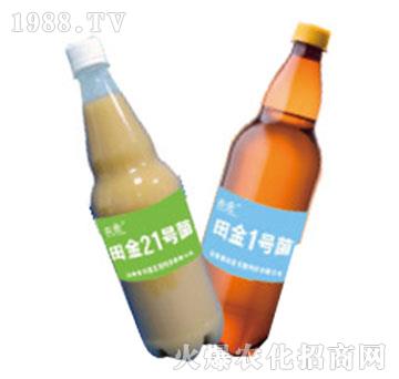 ΢������������-�������