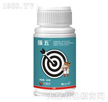 5%���S����-����-��ֲ��