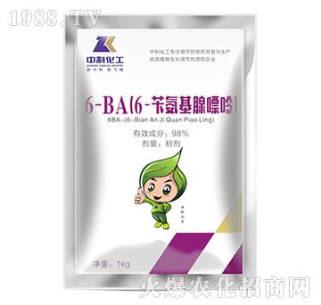 6-BA(6-�S����������)-�пƻ���