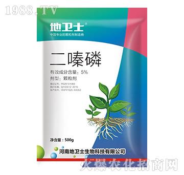 5%�����-���l(w��i)ʿ