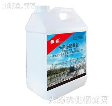 1.8%�����������}��