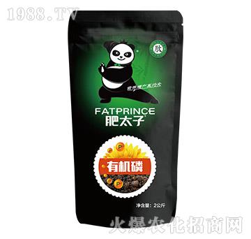 2kg�ЙC(j��)��-��̫��