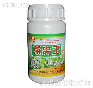 �����-�˱�-���S��