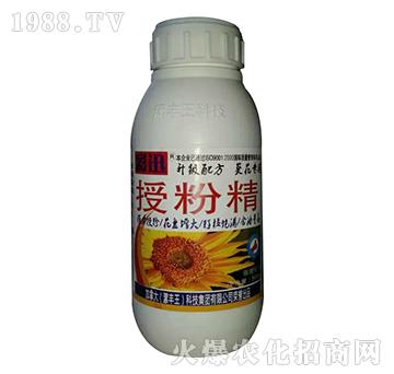 �ڷ۾�-���S��