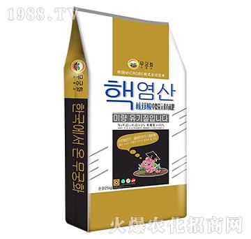 ��������΢��Ԫ���ЙC��-����