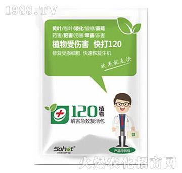 �⺦���ȏ�(f��)���-ֲ��120-���A����(l��)