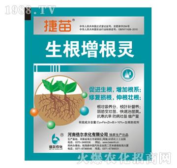 ���������`-����-����