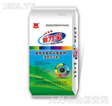 �w����-��������