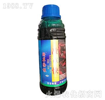 25%���ݿ�-�زݳ���-�W�ρ�