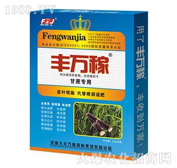 ���ጣ�÷�-���������������֠I�B(y��ng)Һ-�S�f��