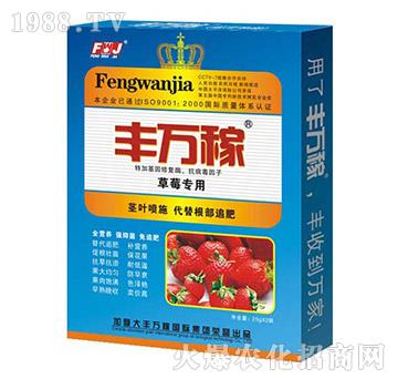 ��ݮ��(zhu��n)�÷�-�L(zh��ng)Ч������