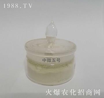 ��΢5̖(h��o)