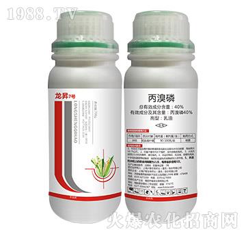 40%������-���N7̖-���N����