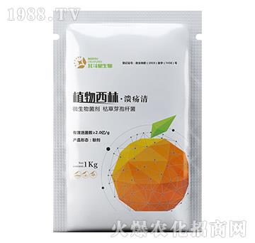 ֲ�����֡�������-����