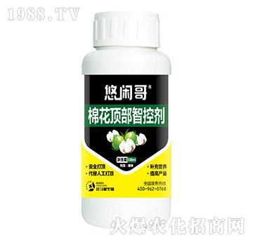 �޻�픲��ǿ؄�-���e��