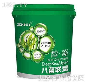 �����������ø-�˾���-������-���r���