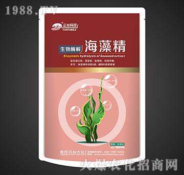 ����ø�⺣�徫���۽z���b��-���_��