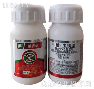 12%�׾S���x����-������-�̩