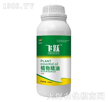 ֲ�ﾫ��-�w�S-�t�ƻ���