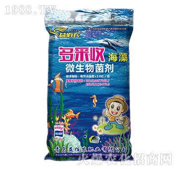 ΢�������-����պ���-����r(n��ng)