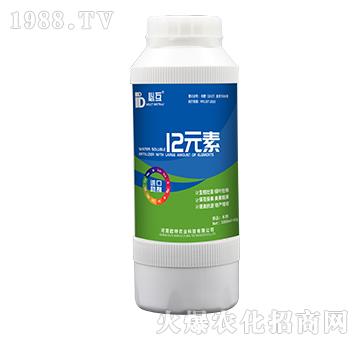 12Ԫ��-�W���r(n��ng)�I(y��)