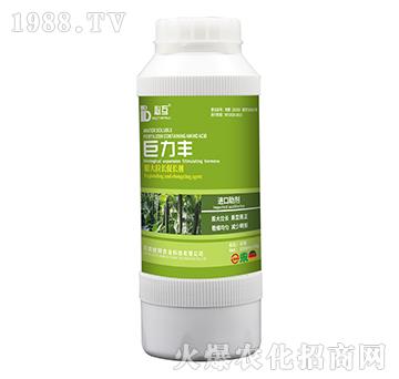 ������L���L��-�����S-�W���r(n��ng)�I(y��)