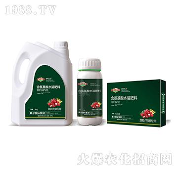 ��֦�����ی�(zhu��n)�ú�������