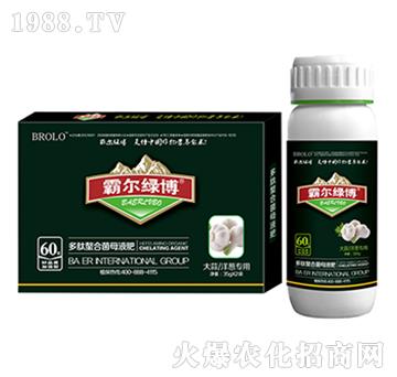 �������[��(zhu��n)�ö������Ͼ�