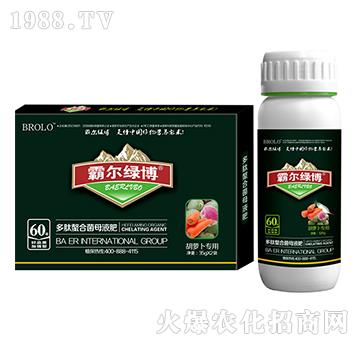 ���}����(zhu��n)�ö������Ͼ�ĸ