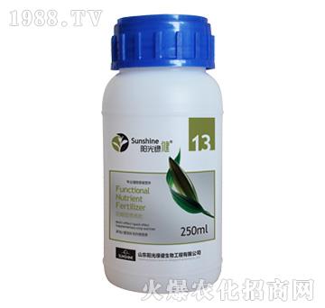 �����͠I(y��ng)�B(y��ng)��-����-13-�(y��ng)��G��