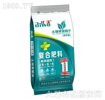 ���������ͺϷ���28-6-6-����