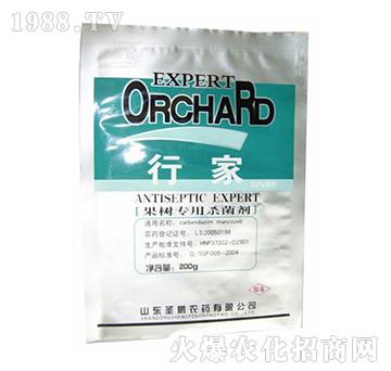 ����(sh��)���Ú�����-�м�-ʥ�i