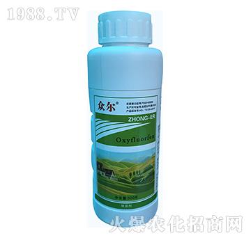 240��ÿ������������-����-�\(y��n)ʢ����