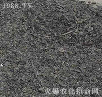 �ն�̿-���f���r(n��ng)�I(y��)