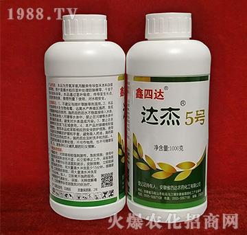 �_(d��)��5̖(h��o)-�����_(d��)-���_(d��)�r(n��ng)ˎ