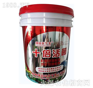 ʮ�����-�G��