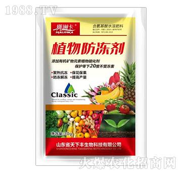 ���������-���տ�-�����S