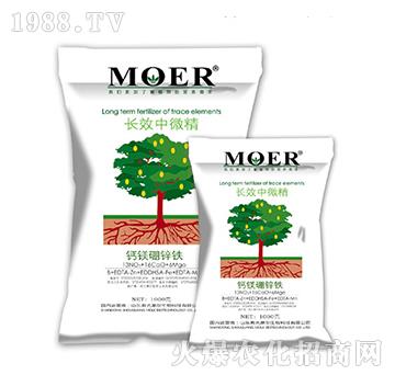 �LЧ��΢��-Ħ������