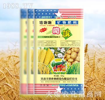 �V�����-����-����-�S���r�I(y��)