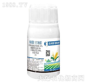 12%���������ͪ-������-�P��D