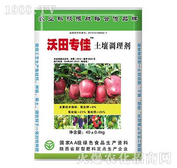 �����{�턩-�����-�s��