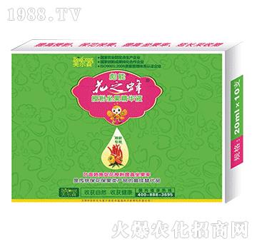 ���������ڷ��������AҺ-��֮��-����ɭ